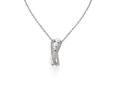 Colgante de plata con cadena Exquisite 3